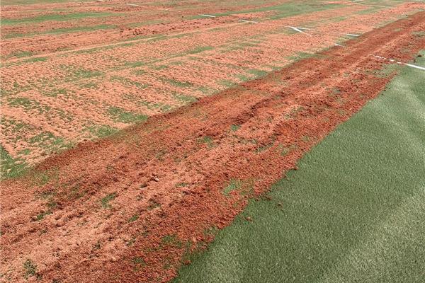 Rénovation terrain de football synthétique Rode Los - Sportinfrabouw NV